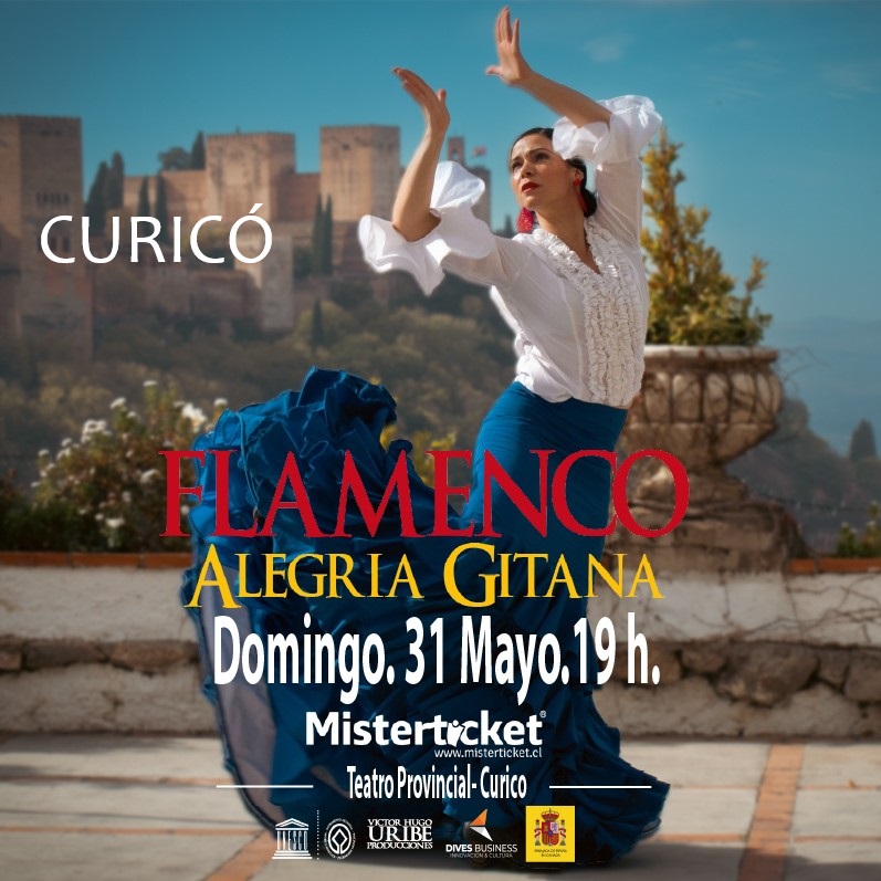 FLAMENCO ALEGRÍA